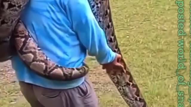 Bigg snake 😳😱