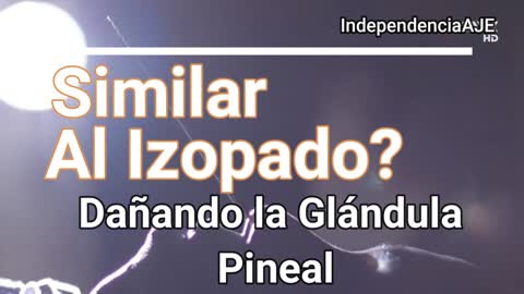 Engañar - Embaucar - Ofuscar