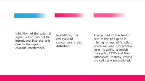 The Relationship Between Telomerase and Tumor