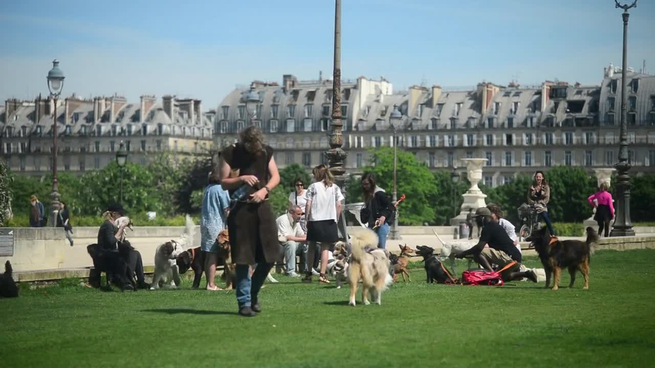 Many people with dogs on grass walking near the Palace of the Tuileries in Paris