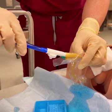 funny|prank|jokes|funny jokes|dad jokes|funny memes|funny video|fun|laughing|funny animal|knock