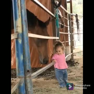 A HORSE AND HIS FRIEND😍 ♥ ️: