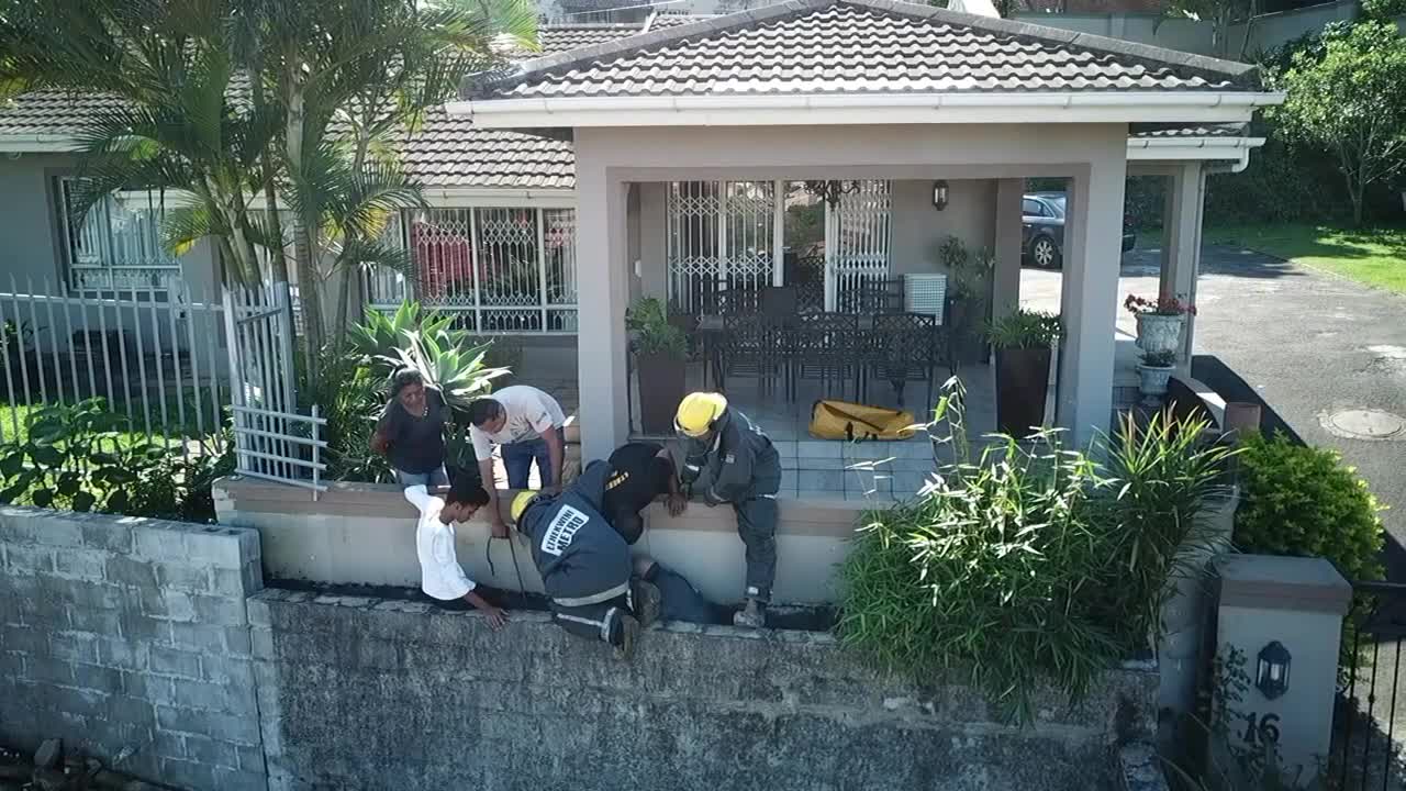 Firefighters Rescue Stuck Dog