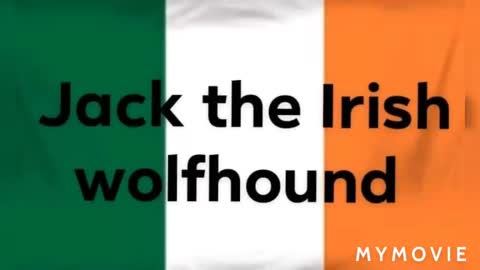 Pickup trucks by jack the Irish wolfhound