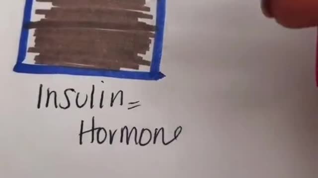 Insulin is a hormone