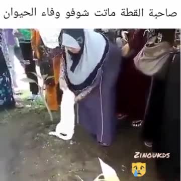 The cat is sad for its owner who raised it