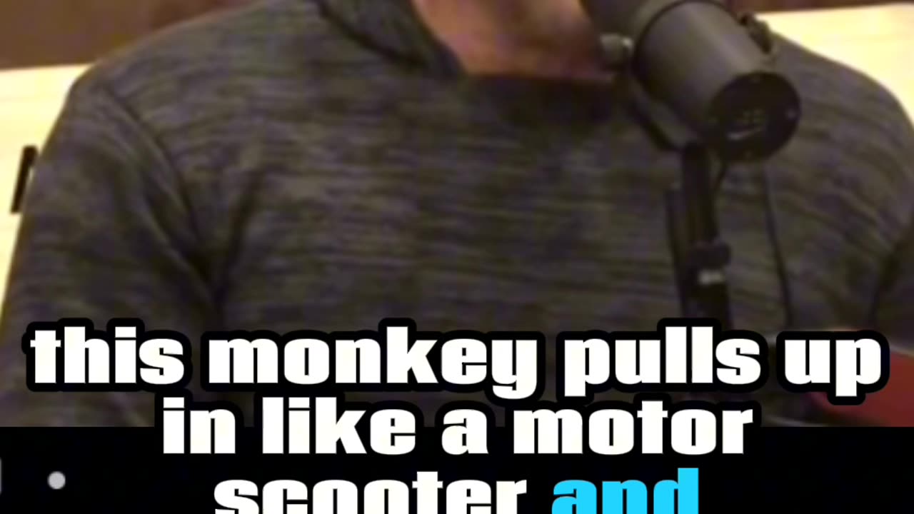 JOE ROGAN MONKEYS EATING BABIES