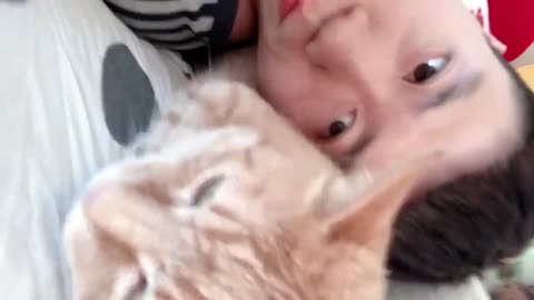Funny Moments of Animals