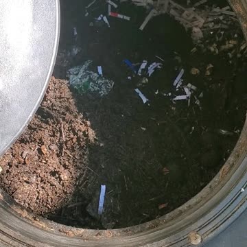 Gardening Life Hack #shorts