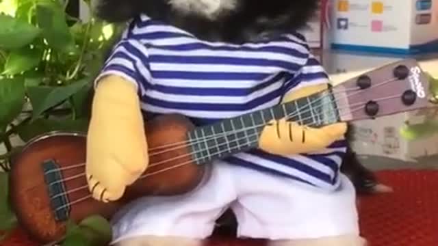 Cute Baby Dog Playing Guitar