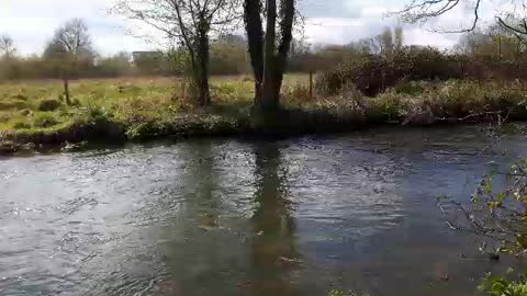 Gentle flow of a river