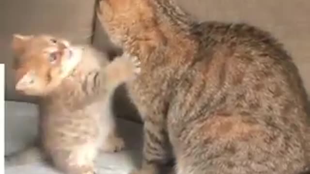 The cutest mother and son bond!