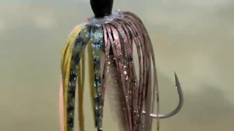 This is a beautiful and charming water-dwelling species