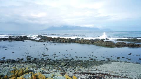 Coastal clean up on Robben Island