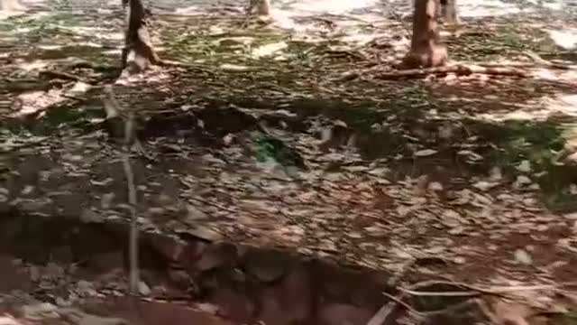 That rubber is awesome
