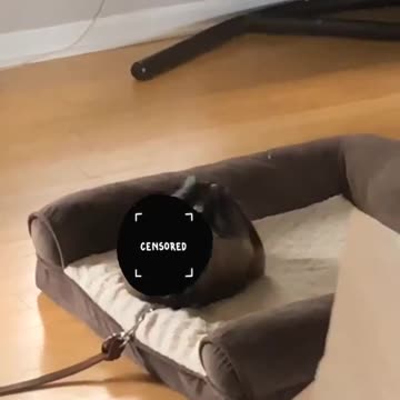 Moms cleaning and I took my diaper off because she