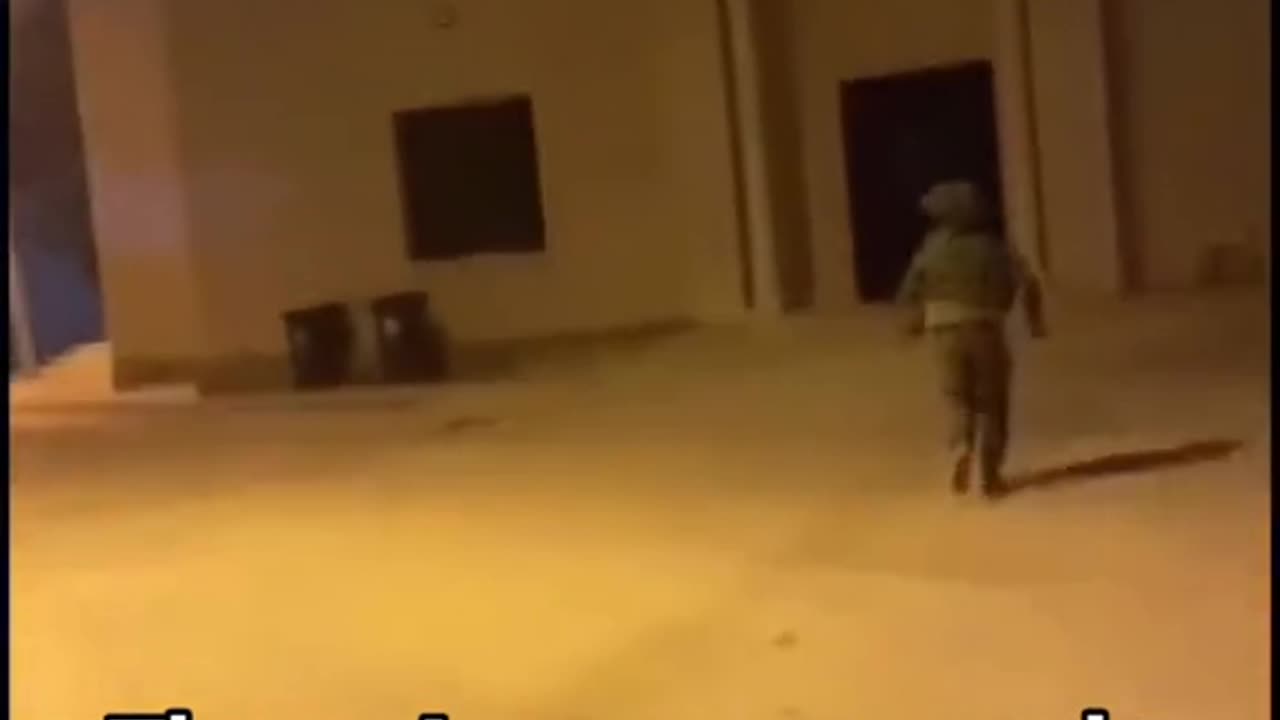 COMMITTING WAR CRIME FOR NO REASON AT ALL