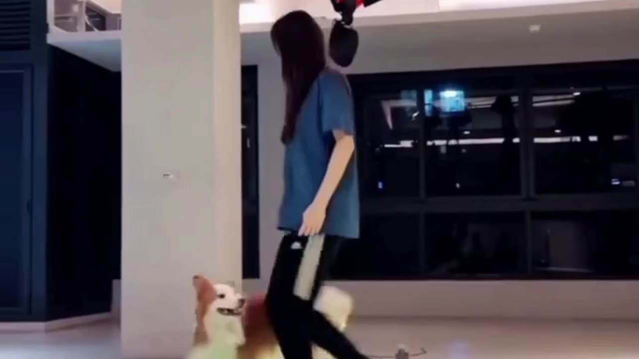 What did the dog do to the girl?😱😱