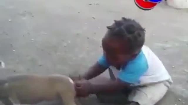 Baby and Dog(Puppy) Fight