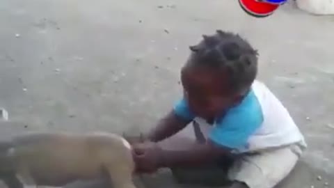 Baby and Dog(Puppy) Fight