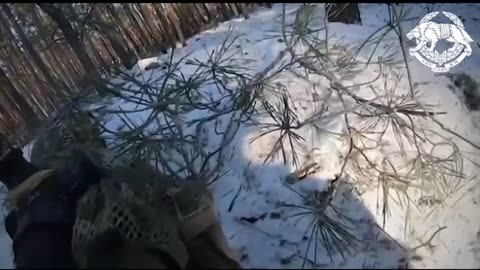 Intense Combat Footage from Ukrainians Near Krynki