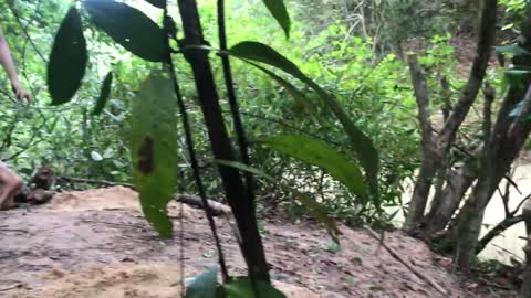 survival in the rainforest / Amazing boy build bamboo house