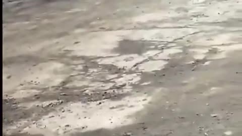 Russian soldiers abandoned their equipment and are walking home.
