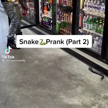 Snake prank1