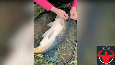 Top viral fish fishing Amazing fish video ,fishing videoe