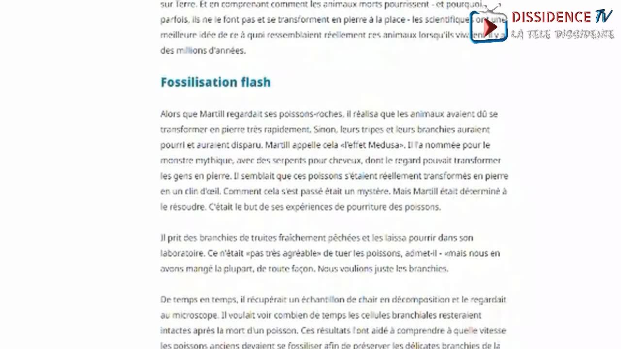 RDV Roch 11 Partie 2