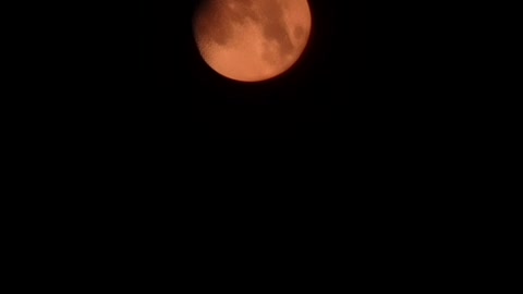 Blood Moon Over California Tonight!