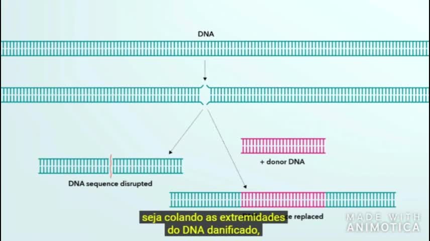 CRISPR - Tecnologia para edição do DNA HUMANO