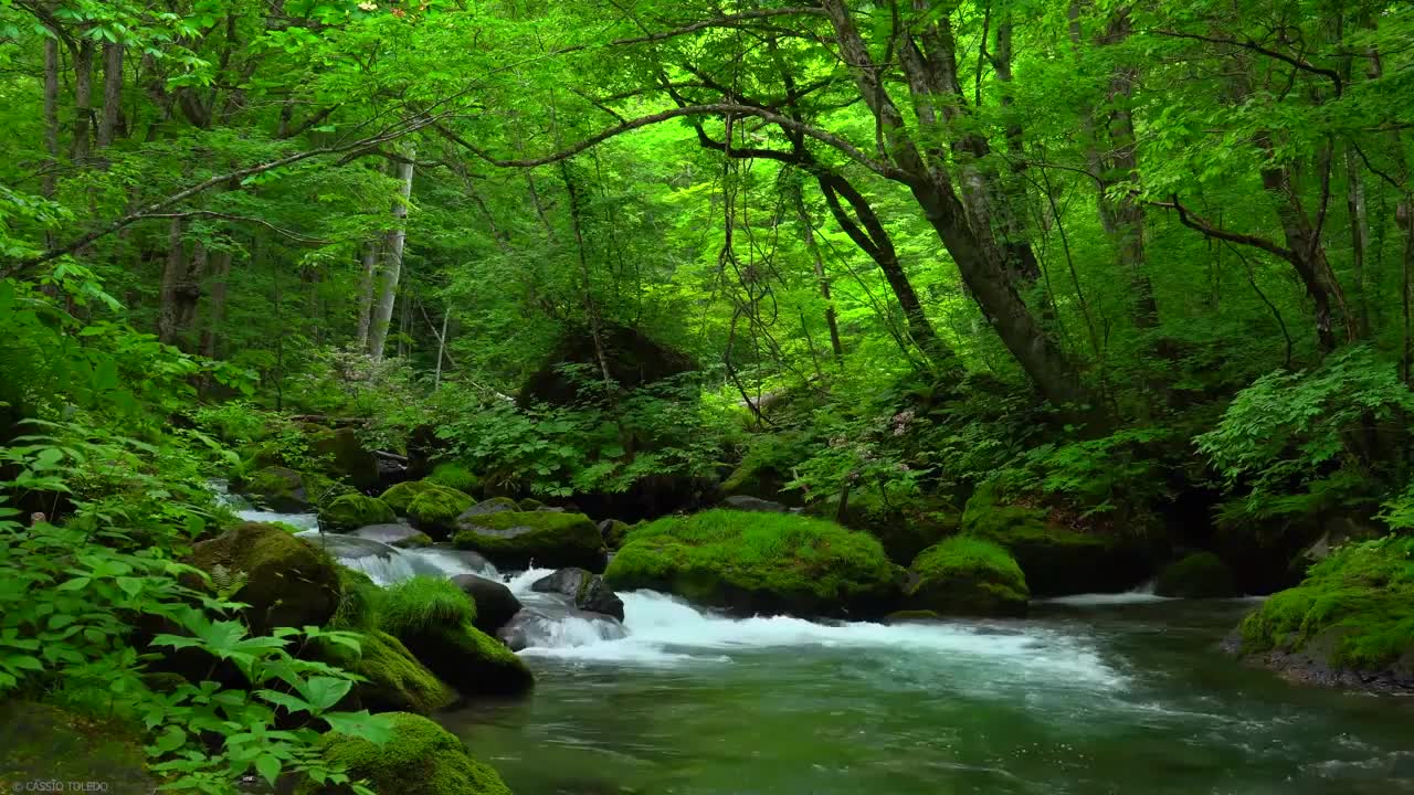 Relaxing Music Nature, Waterfall Sound, Sleep, Meditate 03,