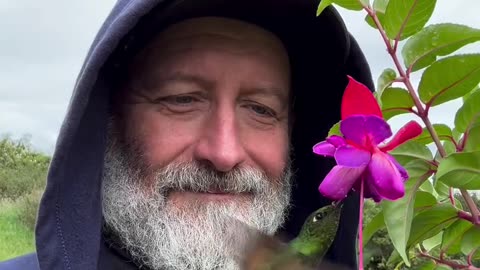 Hummingbird Dances From Man's Cap To Bloom