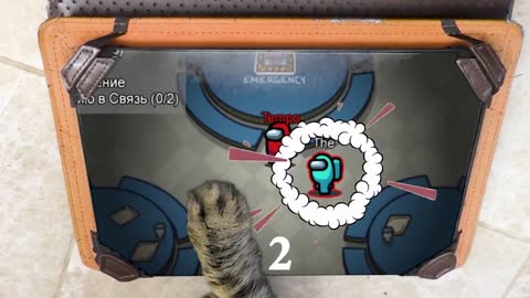 AMONG US, but with 99 KILLS, not appropriate for THIS CATS