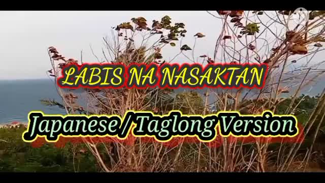 LABIS NA NASAKTAN BY JENNELYN YABU