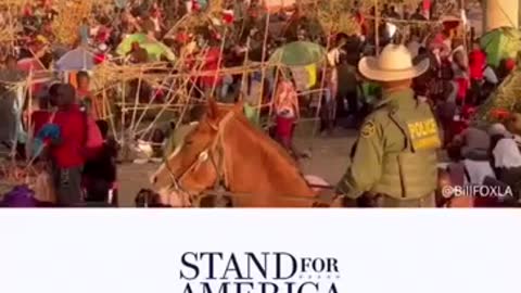 Biden Crisis at the Southern Border