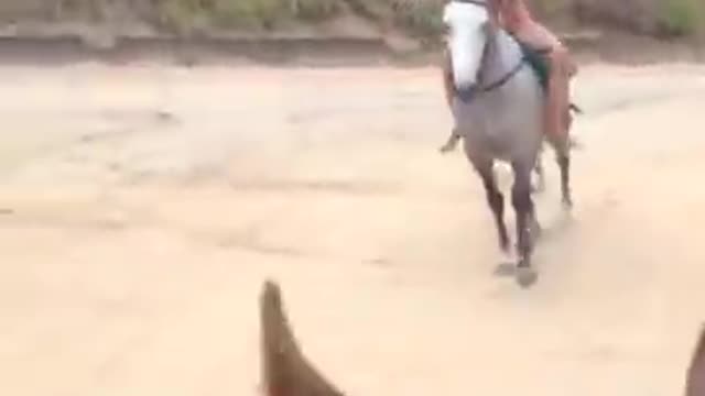 Girl riding horse.