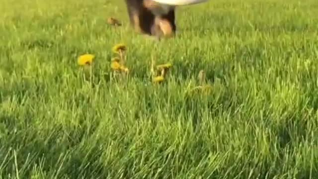Funny videos in instagram reels๐๐