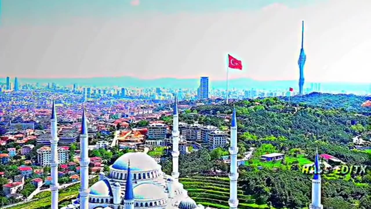 Beautiful turkey