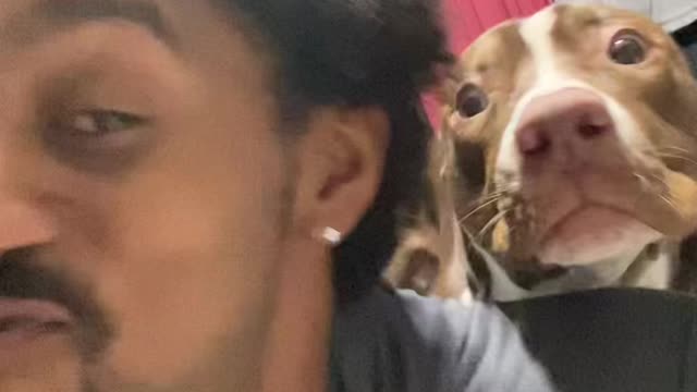 #barkatyourdogchallenge Yoshi wants all the smoke😂