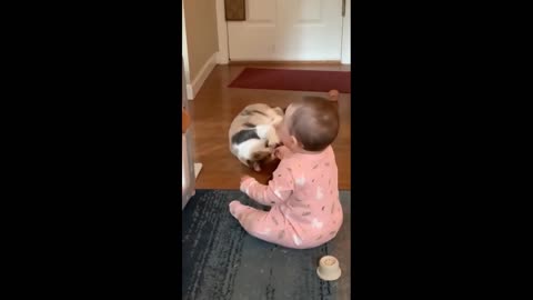 The baby starts to laugh playing with the kitten