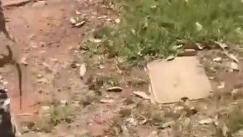 I'm coming babe!