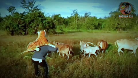 Funny moment fake tiger prank🤣🤣🤣🦮🐕‍🦺🐅🐆🐅🐆