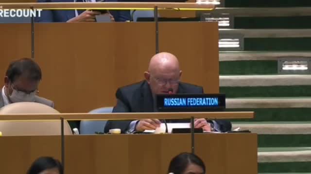 The Russian Ambassador to the UN