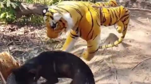 Tiger Head Fake Prank VS Dogs Funny Funny prank