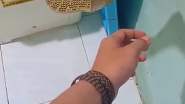 His Hand Got Too Close To A King Cobra | Guess What Happens Next