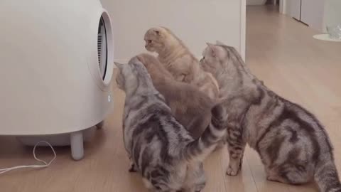 I think one of you broke the machine 🤣😂🤣