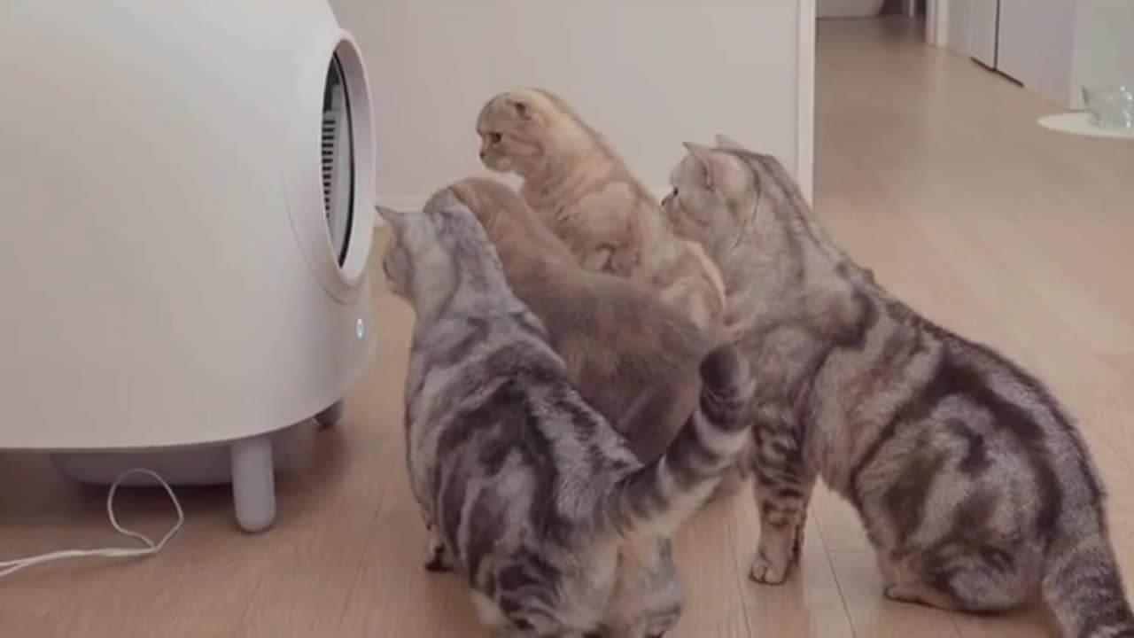 I think one of you broke the machine 🤣😂🤣