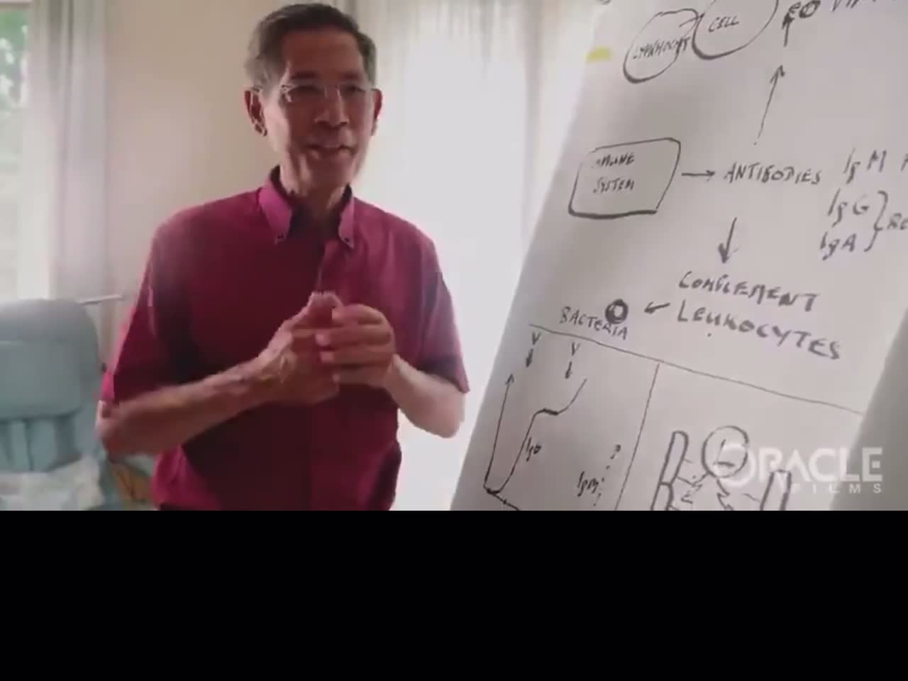 Dr. Bhakdi - Our Immune System - Natural Exposure Vs. Vaccinations